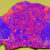 XRF map of 7.53 g slice of NWA 12593: calcium (Ca) and iron (Fe) illustrate the location and diversity of clasts; sulfur (S) highlights the location of cracks and terrestrial weathering. Image credit: Crow et al., doi: 10.1130/G54386.1.