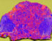 XRF map of 7.53 g slice of NWA 12593: calcium (Ca) and iron (Fe) illustrate the location and diversity of clasts; sulfur (S) highlights the location of cracks and terrestrial weathering. Image credit: Crow et al., doi: 10.1130/G54386.1.