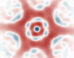 Quantum mechanics defies classical intuition, most famously through Schrödinger’s cat, where systems exist in superpositions of opposing states. Such superpositions are central to quantum technologies. Quantum ‘cat’ states have been realized in harmonic oscillators, but implementations were largely limited to Fock, displaced, or Gottesman-Kitaev-Preskill states. A different class of macroscopic superpositions, where an oscillator is squeezed along orthogonal axes so that its positional variance is simultaneously larger and smaller than the Heisenberg limit, was proposed previously but remained unrealized. Saner et al. introduce a trapped-ion hybrid spin-oscillator system enabling an experimental realization of these ‘siblings’ of Schrödinger’s cat. Image credit: Saner et al., doi: 10.1103/k1xk-yt42.