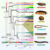 To date, 14,232 millipede species have been described, with at least as many still awaiting discovery. Image credit: Vasquez-Valverde et al., doi: 10.1016/j.cub.2026.05.035.