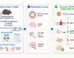 Using the APP/PS1 mouse model of familial Alzheimer’s disease, Pyun et al. investigated the effect of Cu(ATSM) on brain microvascular abundance and function of P-glycoprotein and the associated effects on exogenous amyloid-beta clearance, brain amyloid burden, and cognitive function. Image credit: Pyun et al., doi: 10.1021/acschemneuro.6c00252.