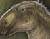 Kryptohadros kallaiae. Image credit: Tibor Pecsics.