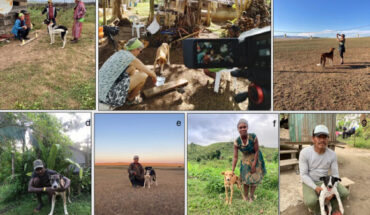 Testing situation and hunters with their dogs -- examples from each of the four non-WEIRD societies: (a) pointing test in Mongolia, (b) unsolvable problem test in Vanuatu, (c) showing test in Mongolia, (d) Vanuatu, (e) Mongolia, (f) Madagascar, (g) Peru. Image credit: Bräuer et al., doi: 10.1038/s41598-026-57657-1.