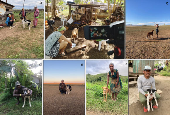 Testing situation and hunters with their dogs -- examples from each of the four non-WEIRD societies: (a) pointing test in Mongolia, (b) unsolvable problem test in Vanuatu, (c) showing test in Mongolia, (d) Vanuatu, (e) Mongolia, (f) Madagascar, (g) Peru. Image credit: Bräuer et al., doi: 10.1038/s41598-026-57657-1.