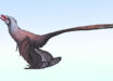 Changzhousaurus sinensis. Image credit: Connor Ashbridge / CC BY 4.0.