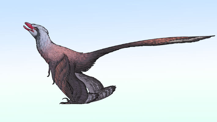 Changzhousaurus sinensis. Image credit: Connor Ashbridge / CC BY 4.0.