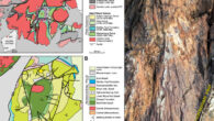 The North Pole Dome crater: (A) simplified map of the East Pilbara Terrane (EPT, Western Australia), showing Paleoarchean granite domes (pink) and greenstone belts (greens and blues); the North Pole Dome (NPD) lies near the terrane center; (B) geological map of the NPD and the shatter-cone field (yellow star); (C) A quartz (Qtz)-carbonate vein cutting shatter-cone lineation. Image credit: Kirkland et al., doi: 10.1130/G54866.1.