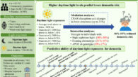 Zheng et al. uncovered a link between higher levels of daytime light exposure and a lower risk of dementia. Image credit: Zheng et al., doi: 10.1002/gps3.70039.
