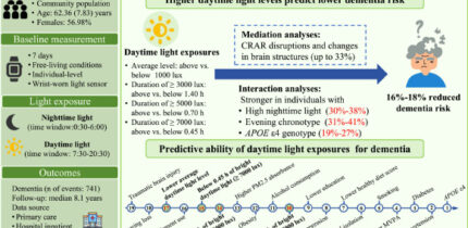 Zheng et al. uncovered a link between higher levels of daytime light exposure and a lower risk of dementia. Image credit: Zheng et al., doi: 10.1002/gps3.70039.