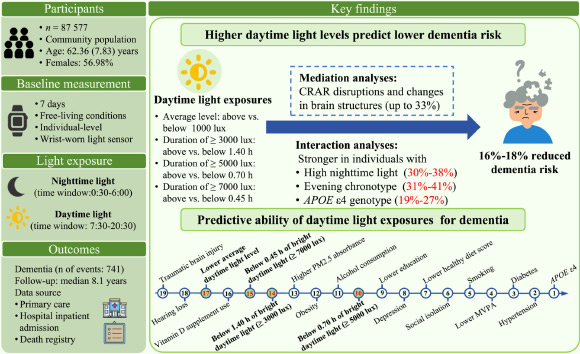 Getting Enough Bright Light during the Day May Help Protect against Dementia