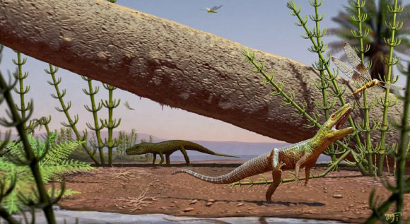 Life reconstruction of Silescelida acristata. Image credit: Matheus Fernandes Gadelha.