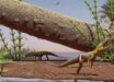 Life reconstruction of Silescelida acristata. Image credit: Matheus Fernandes Gadelha.