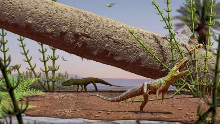 Life reconstruction of Silescelida acristata. Image credit: Matheus Fernandes Gadelha.