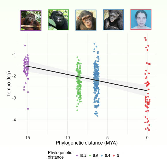 New Research Traces Origins of Human Laughter