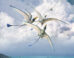 Walters et al. compared theoretical pterosaur wings with published reconstructions over a series of shape and function tests to understand whether the current scientific understanding of pterosaur wing shape is likely to accurately represent the diversity of pterosaur wing shapes and whether issues in depicting pterosaurs stem from the style or substance of life reconstructions; their results revealed that reconstructions do not perform as expected and thus do not accurately represent the flight abilities of pterosaurs. Image credit: Mark P. Witton.