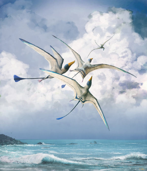 Pterosaurs May Have Sported Far More Varied Wings than Paleontologists Imagined