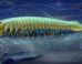 An artist’s impression of Urokodia aequalis, a marine predator that lived in the Cambrian seas around 518 million years ago. Image credit: Xiaodong Wang.