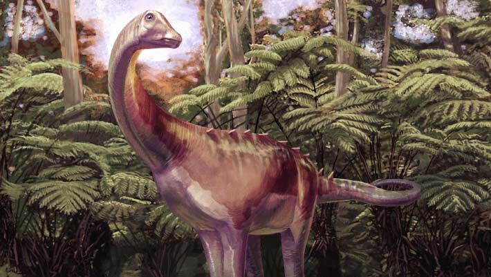 Life reconstruction of the Antarctic titanosaur. Image credit: Andrew McAfee, Carnegie Museum of Natural History.