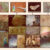 Representative rock art figures from each of the 11 archaeological sites analyzed by Bossoms Mesa et al. Image credit: Bossoms Mesa et al., 10.1038/s41467-026-74234-2.