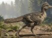 Life reconstruction of Zhengheornis buyu. Image credit: Chung-Tat Cheung.