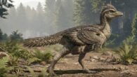 Life reconstruction of Zhengheornis buyu. Image credit: Chung-Tat Cheung.