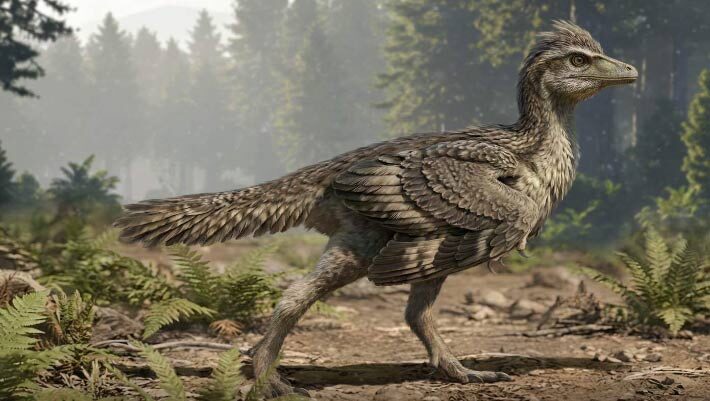 Life reconstruction of Zhengheornis buyu. Image credit: Chung-Tat Cheung.