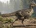 Life reconstruction of Zhengheornis buyu. Image credit: Chung-Tat Cheung.
