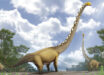 Life reconstruction of a herd of five individuals of Uragasaurus kalasinensis inhabiting a Late Jurassic forest in Thailand, accompanied by a pair of rhamphorhynchoid pterosaurs and a metriacanthosaurid theropod. Image credit: Pakorn Chotchaiyaporn.