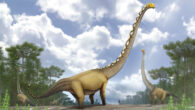 Life reconstruction of a herd of five individuals of Uragasaurus kalasinensis inhabiting a Late Jurassic forest in Thailand, accompanied by a pair of rhamphorhynchoid pterosaurs and a metriacanthosaurid theropod. Image credit: Pakorn Chotchaiyaporn.