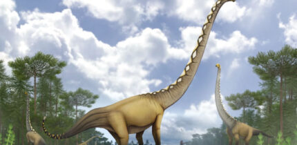 Life reconstruction of a herd of five individuals of Uragasaurus kalasinensis inhabiting a Late Jurassic forest in Thailand, accompanied by a pair of rhamphorhynchoid pterosaurs and a metriacanthosaurid theropod. Image credit: Pakorn Chotchaiyaporn.