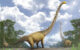Life reconstruction of a herd of five individuals of Uragasaurus kalasinensis inhabiting a Late Jurassic forest in Thailand, accompanied by a pair of rhamphorhynchoid pterosaurs and a metriacanthosaurid theropod. Image credit: Pakorn Chotchaiyaporn.