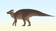Life reconstruction of Plesiolophus warnerensis. Image credit: Connor Ashbridge / CC BY 4.0.