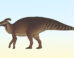 Life reconstruction of Plesiolophus warnerensis. Image credit: Connor Ashbridge / CC BY 4.0.