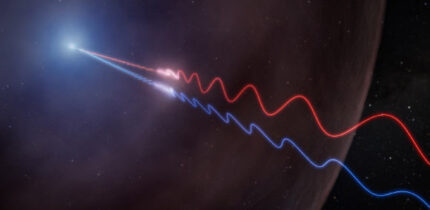 This illustration depicts Faraday rotation in the afterglow of a gamma-ray burst. A powerful jet (upper left) sends polarized radio waves outward through the thin wall of a surrounding bubble of magnetized gas called an HII region. As the light passes through this material, its polarization angle is twisted by the magnetic field. Because the effect is stronger at longer wavelengths, the red and blue waves, which represent different radio wavelengths, exit the bubble oscillating in different directions. By measuring this difference, astronomers were able to map the magnetic environment surrounding GRB 260310A for the first time. Image credit: NSF / AUI / NRAO / M. Weiss