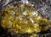 The Middle Devonian Hujiersite amber. Image credit: Lu et al., doi: 10.1126/sciadv.aeh1266.