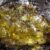 The Middle Devonian Hujiersite amber. Image credit: Lu et al., doi: 10.1126/sciadv.aeh1266.