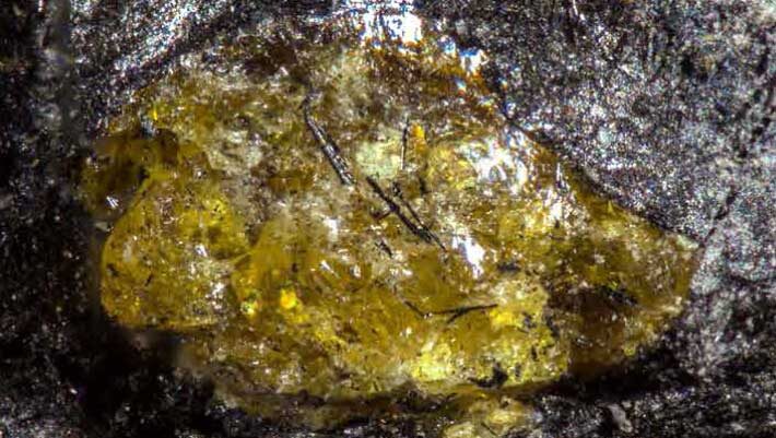 The Middle Devonian Hujiersite amber. Image credit: Lu et al., doi: 10.1126/sciadv.aeh1266.