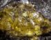 The Middle Devonian Hujiersite amber. Image credit: Lu et al., doi: 10.1126/sciadv.aeh1266.