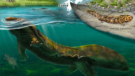 Life reconstruction of Limnospondylus ajimuensis. Image credit: Kanon Tanaka.