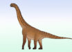 Life reconstruction of Ceratocaudia antiqua, the earliest-known macronarian neosauropod species from India. Image credit: Connor Ashbridge / CC BY 4.0.