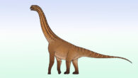 Life reconstruction of Ceratocaudia antiqua, the earliest-known macronarian neosauropod species from India. Image credit: Connor Ashbridge / CC BY 4.0.