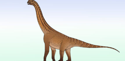 Life reconstruction of Ceratocaudia antiqua, the earliest-known macronarian neosauropod species from India. Image credit: Connor Ashbridge / CC BY 4.0.