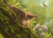 An artist’s reconstruction of Miyumba chrisdickmani in the Early Miocene rainforests of northern Australia. Image credit: Nellie Pease.