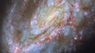 This Hubble image shows NGC 4654, an intermediate spiral galaxy some 55 million light-years away in the constellation of Virgo. Image credit: NASA / ESA / Hubble / D. Thilker / J. Lee / PHANGS-HST Team.