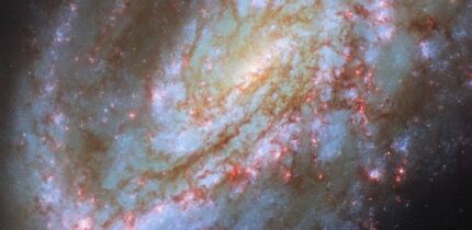 This Hubble image shows NGC 4654, an intermediate spiral galaxy some 55 million light-years away in the constellation of Virgo. Image credit: NASA / ESA / Hubble / D. Thilker / J. Lee / PHANGS-HST Team.
