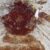 Apis aibai. Image credit: Y. Takahashi & J-ichi Takahashi, doi: 10.3897/zookeys.1255.162389.