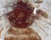 Apis aibai. Image credit: Y. Takahashi & J-ichi Takahashi, doi: 10.3897/zookeys.1255.162389.