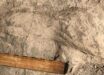 One of 1.43-million-year-old footprints found at the GaJi10 site in the Koobi Fora Formation in northern Kenya; a 15-cm (6-inch) ruler is shown for scale. Image credit: Kay Behrensmeyer.