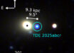 TDE 2025abcr. Image credit: Stein et al., doi: 10.3847/2041-8213/ae77f3.