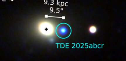 TDE 2025abcr. Image credit: Stein et al., doi: 10.3847/2041-8213/ae77f3.